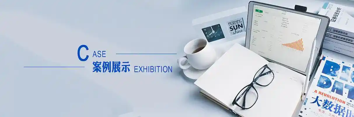 柘城县软件开发